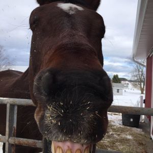 Meet your Posher, Rachel